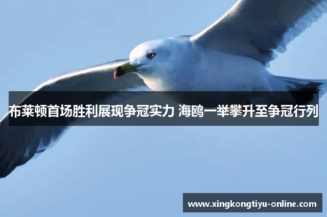 布莱顿首场胜利展现争冠实力 海鸥一举攀升至争冠行列