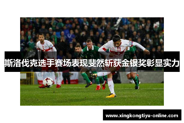 斯洛伐克选手赛场表现斐然斩获金银奖彰显实力