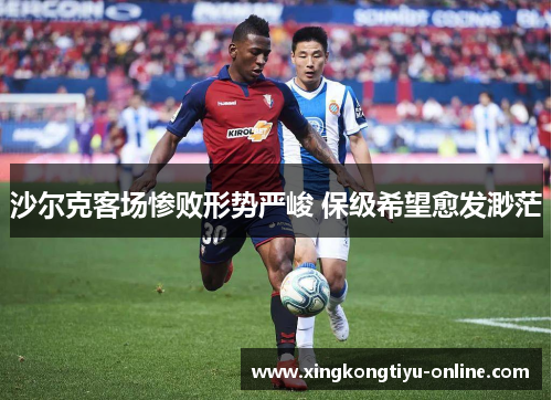 沙尔克客场惨败形势严峻 保级希望愈发渺茫