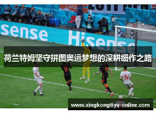 荷兰特姆坚守拼图奥运梦想的深耕细作之路