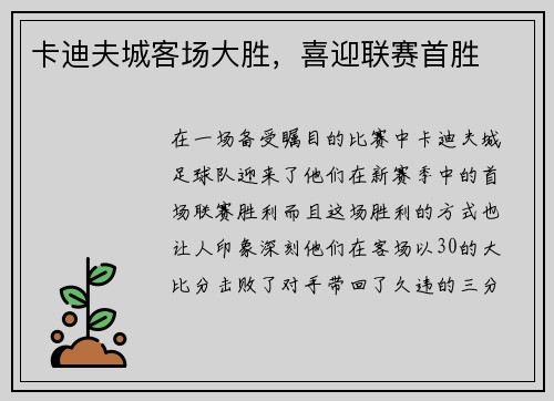 卡迪夫城客场大胜，喜迎联赛首胜