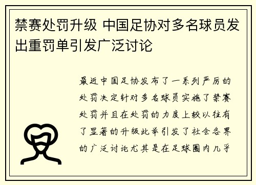 禁赛处罚升级 中国足协对多名球员发出重罚单引发广泛讨论